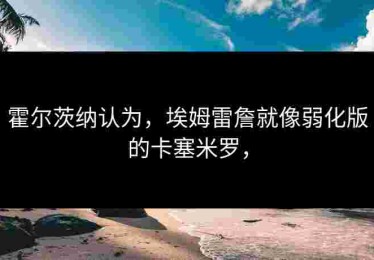 霍尔茨纳认为，埃姆雷詹就像弱化版的卡塞米罗，