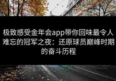 极致感受金年会app带你回味最令人难忘的冠军之夜：还原球员巅峰时期的奋斗历程